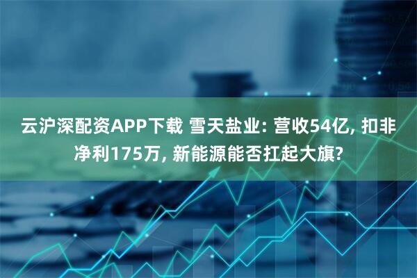 云沪深配资APP下载 雪天盐业: 营收54亿, 扣非净利175万, 新能源能否扛起大旗?